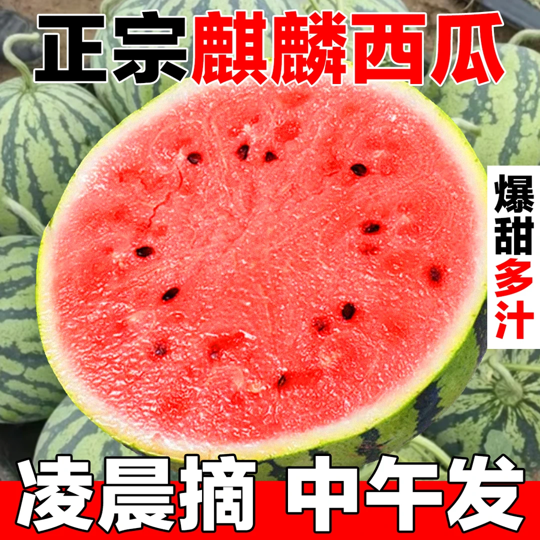 正宗8424麒麟西瓜当季新鲜水果西瓜现摘现发脆甜西瓜薄皮西瓜整箱