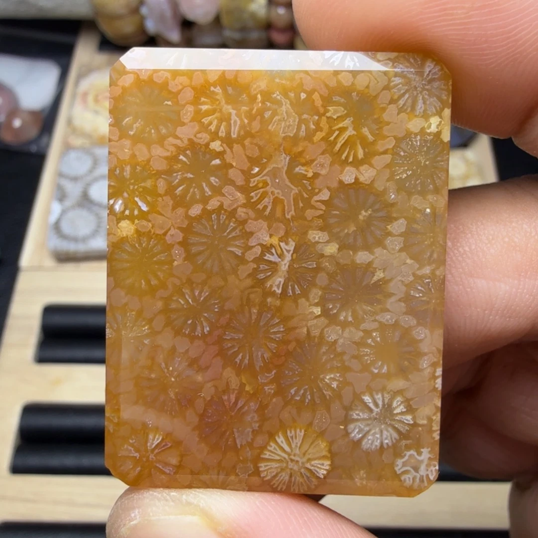 硅化玉未镶嵌纯天然色有机玉石保真色