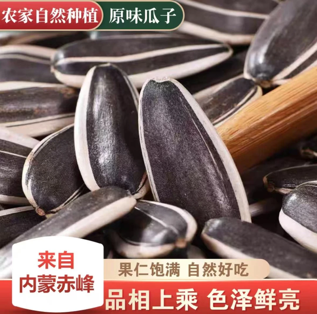 《生瓜子》内蒙赤峰原产地薄皮生瓜子当季新货363瓜子