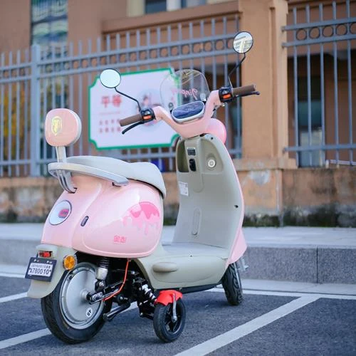 新手专用学车轮电动车辅助轮安装支撑轮防滑防盗平衡轮