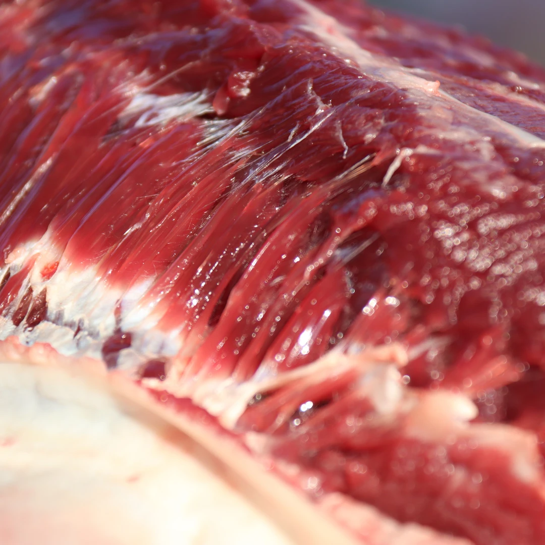 云南高山生态放养大额牛 炒肉.现宰排酸.顺丰空运包邮