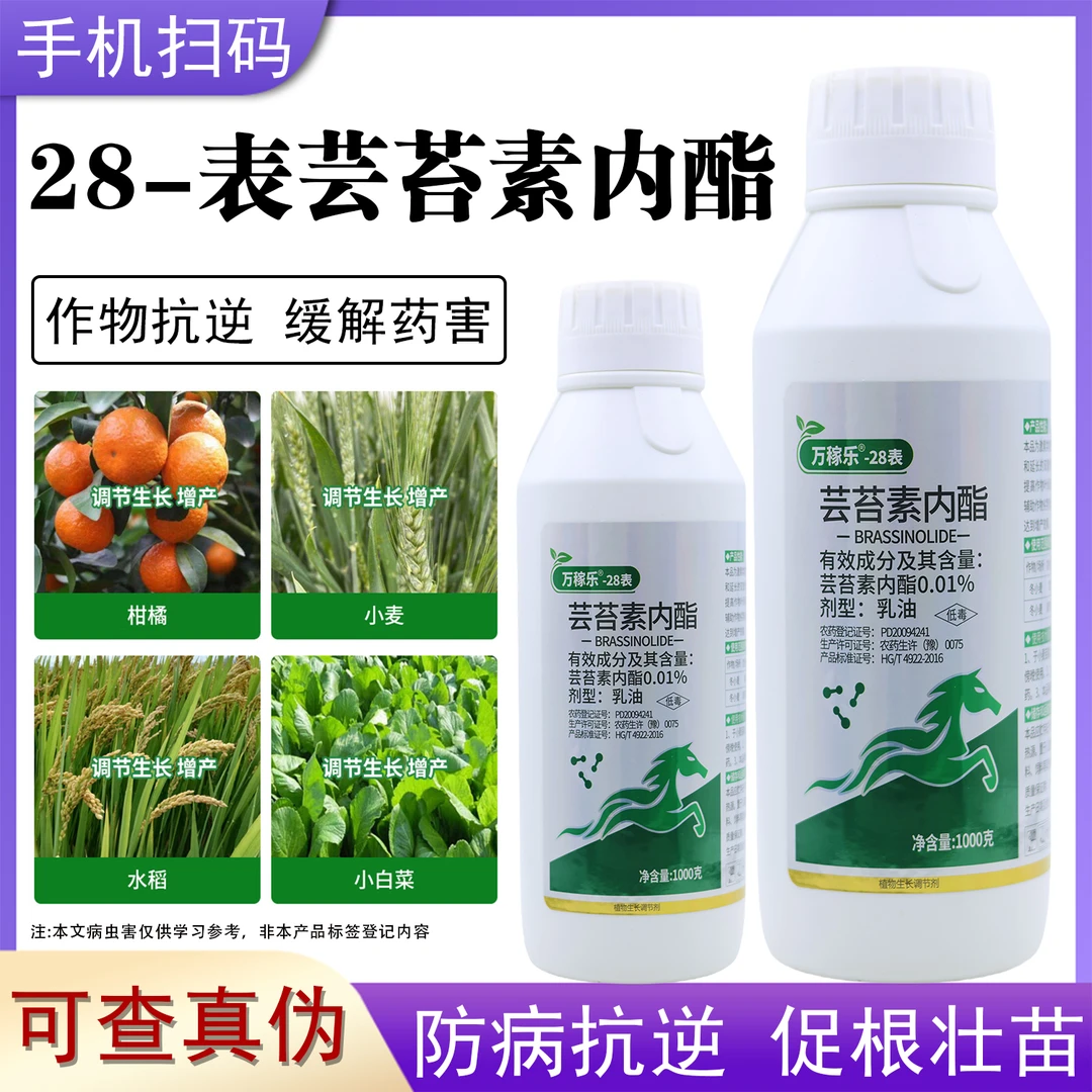 芸苔素内酯植物生长调节剂生根壮苗保花保果增产叶面肥农用调节剂