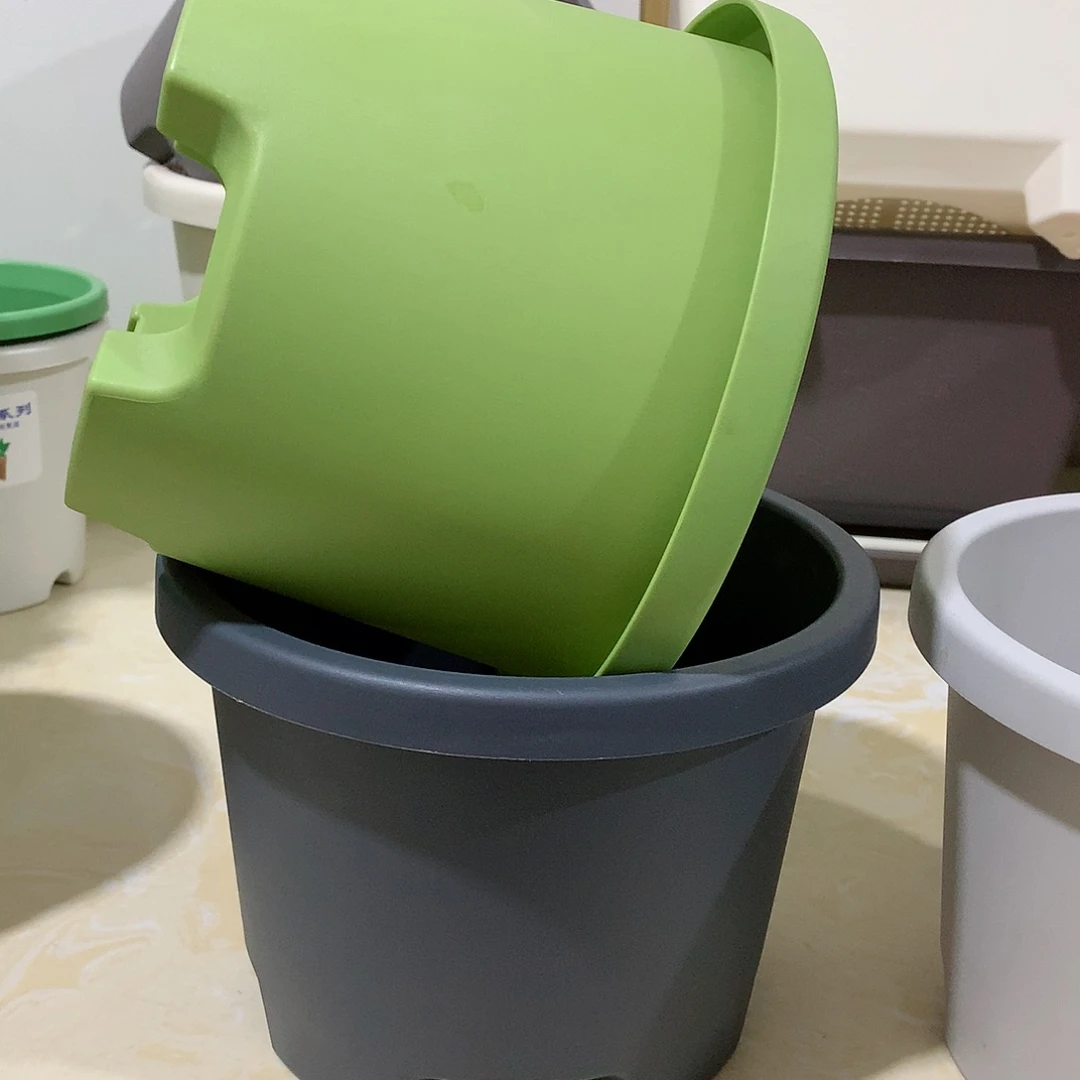 球根口21果绿5个无托