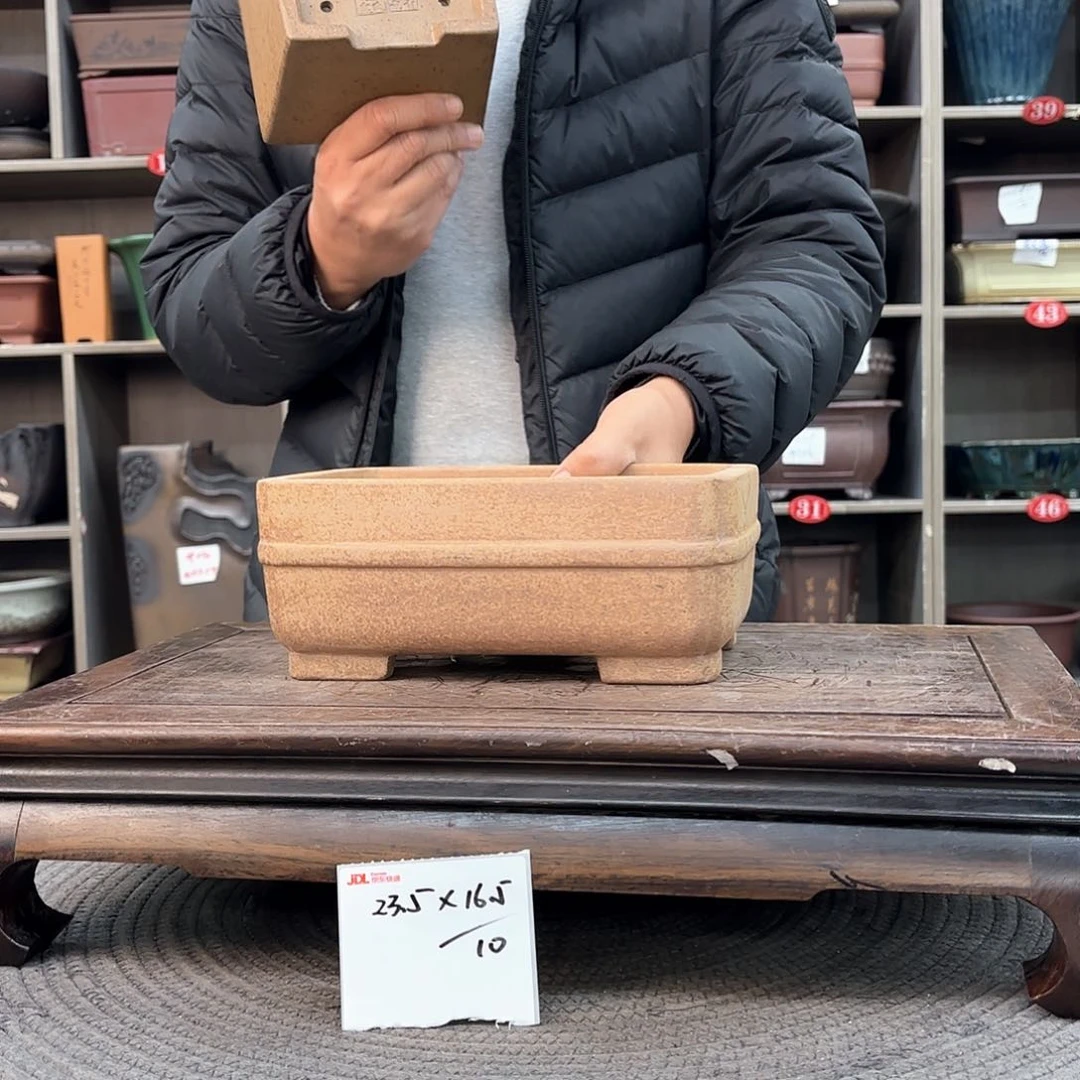 紫砂花盆紫砂的花也太