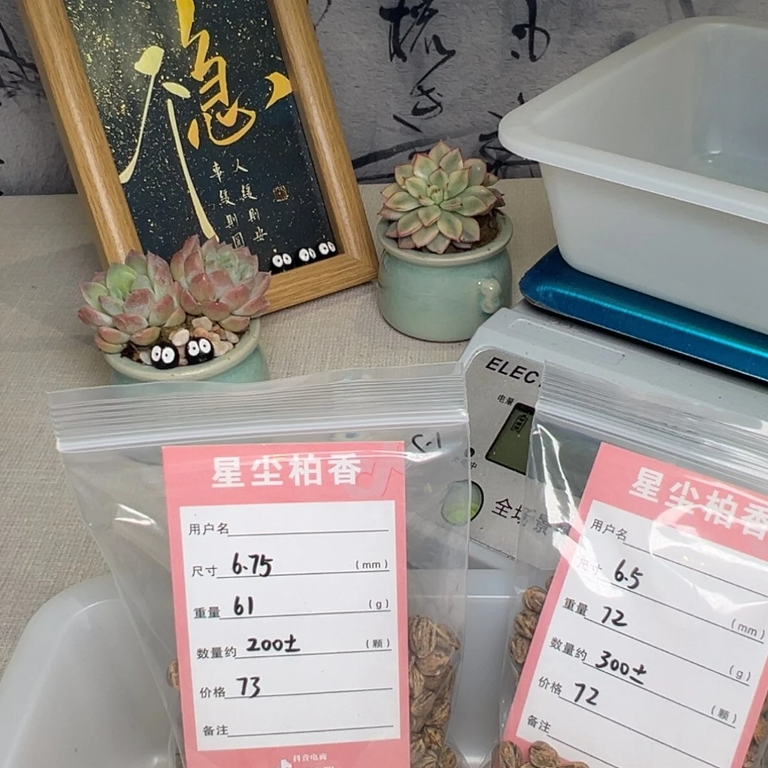 千***行吊坠柏香籽/百香籽