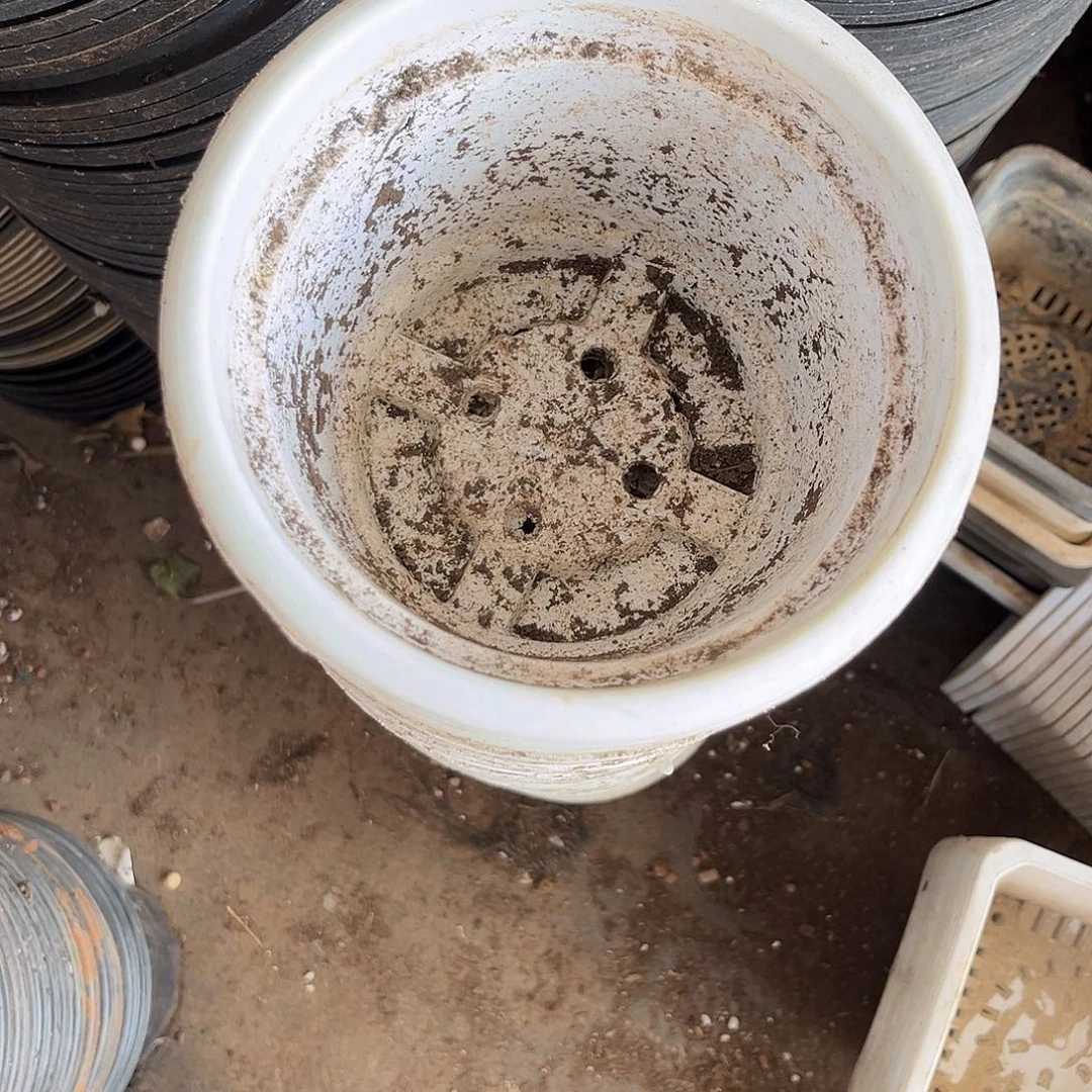 旧口径15高11白圆盆30个