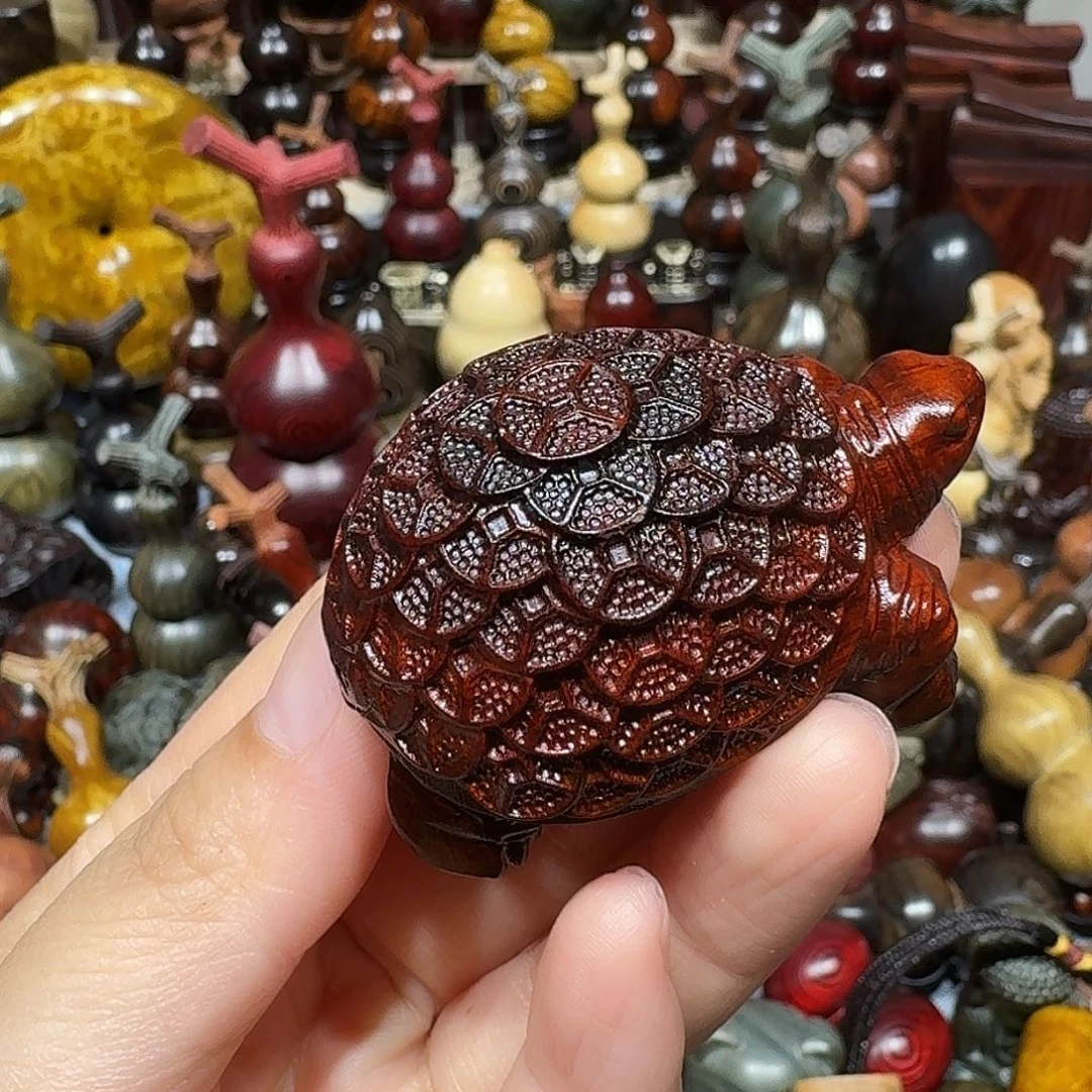 香榧木大**棠东非小叶手把