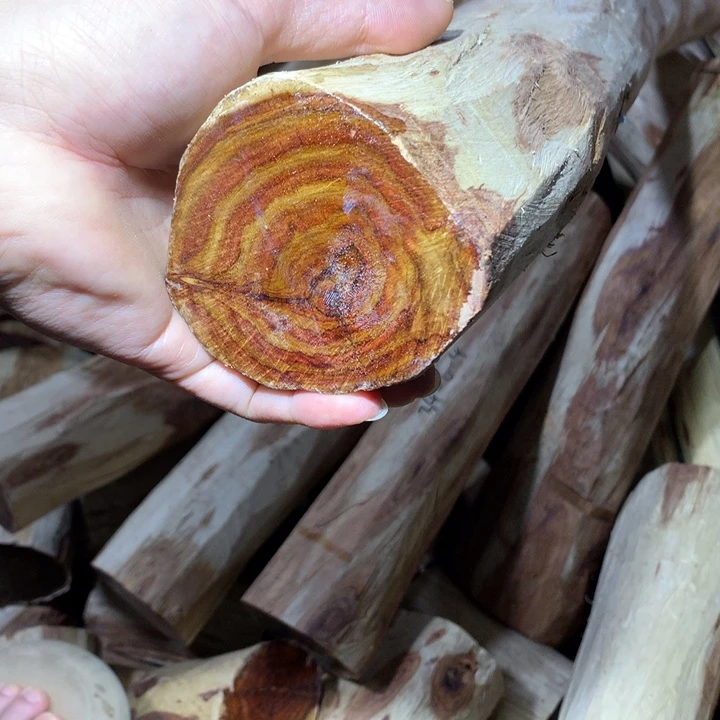 花梨木类海南黄花梨