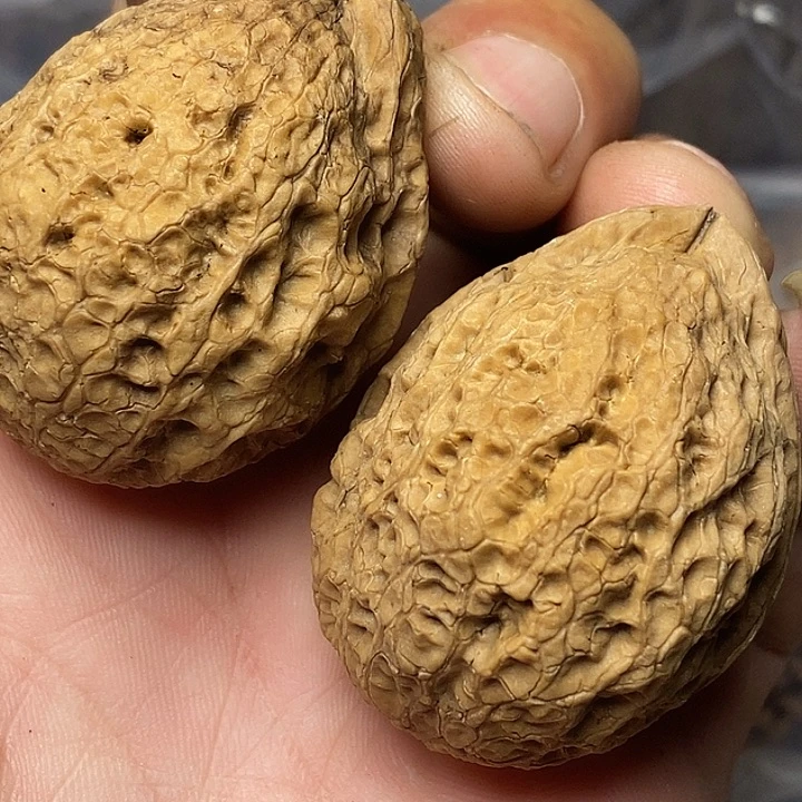 把件文玩核桃志成云铁文玩9