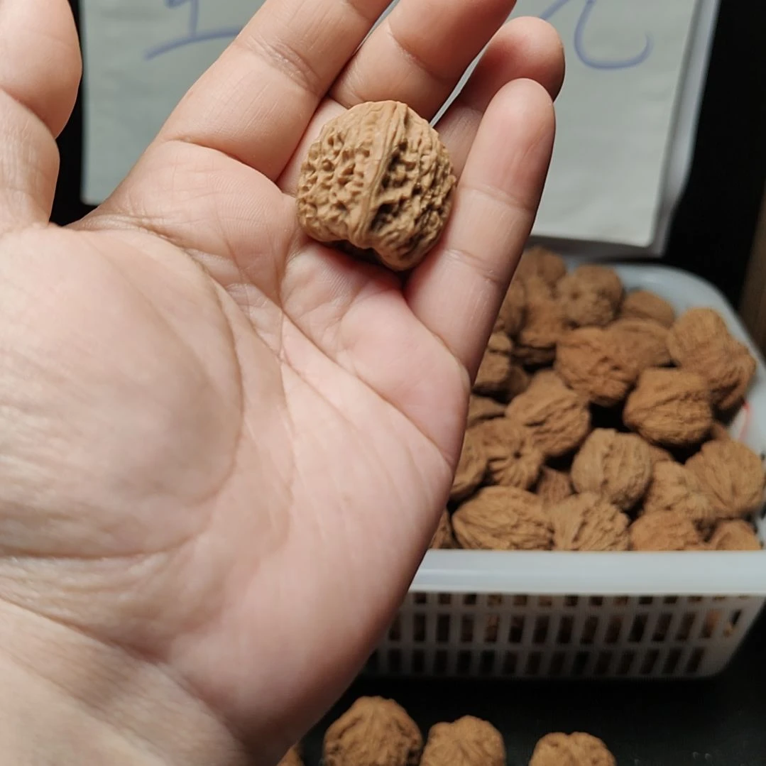 风***8南疆石狮子头一物一图