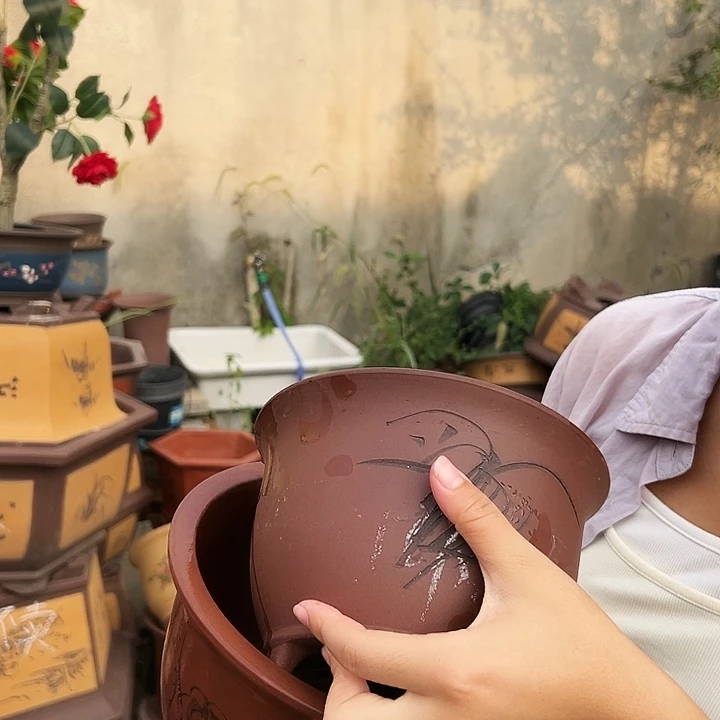 特价22+19花盆花盆花盆花盆
