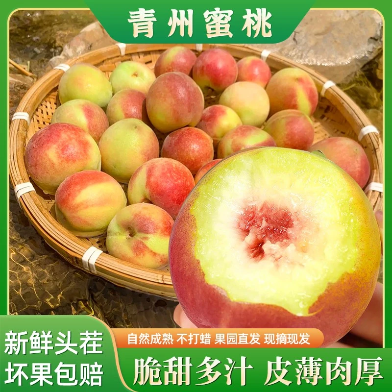 【顺丰/京东】正宗山东青州蜜桃脆桃新鲜应季水果脆甜蜜桃3斤起