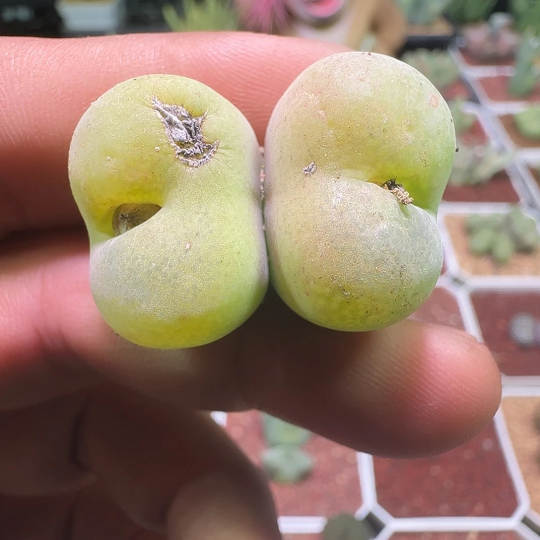 哈哈哈哈哈哈哈哈哈833