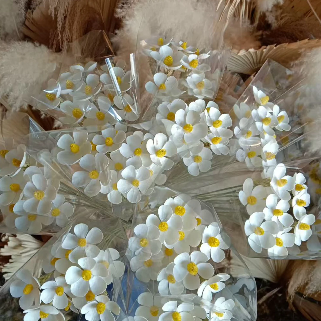 紫罗兰真干花手工插花永生油筒壳材质适合混搭网红花束装饰白色