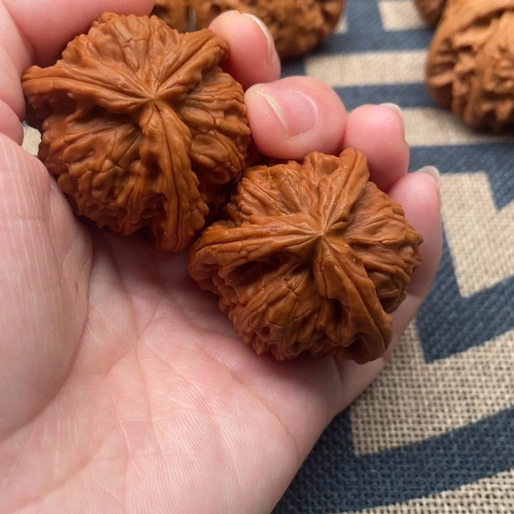 一***秋核桃白狮子39核桃