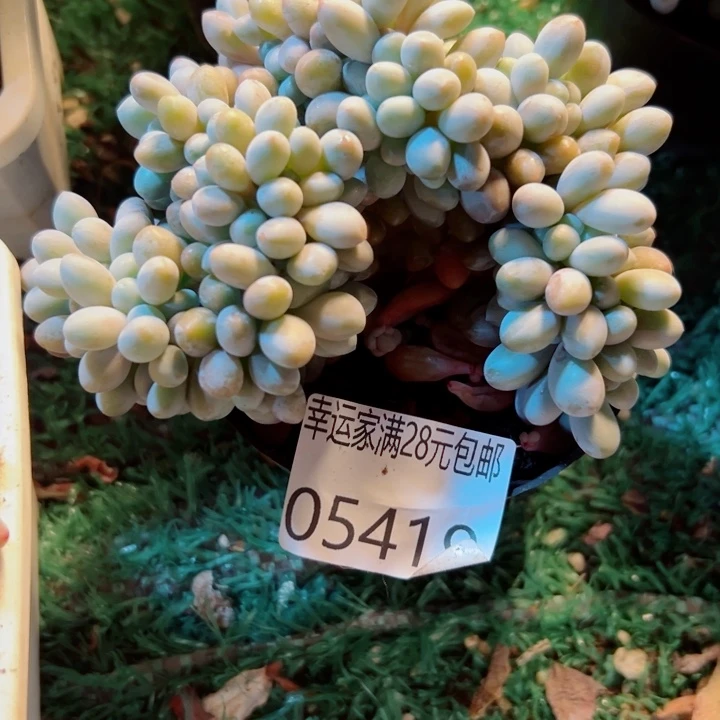 幸运的是我还没遇到过这么
