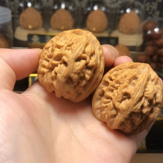 高端小众：红锦鲤