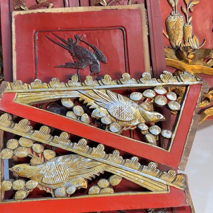 香榧木普**庆这么样我就