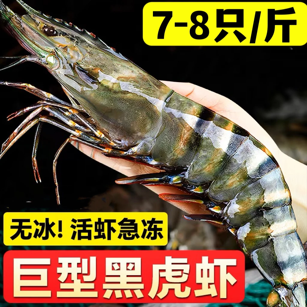 【特A级1315巨大虎虾】超大黑虎虾活虾速冻无冰海水虾鲜活冷冻