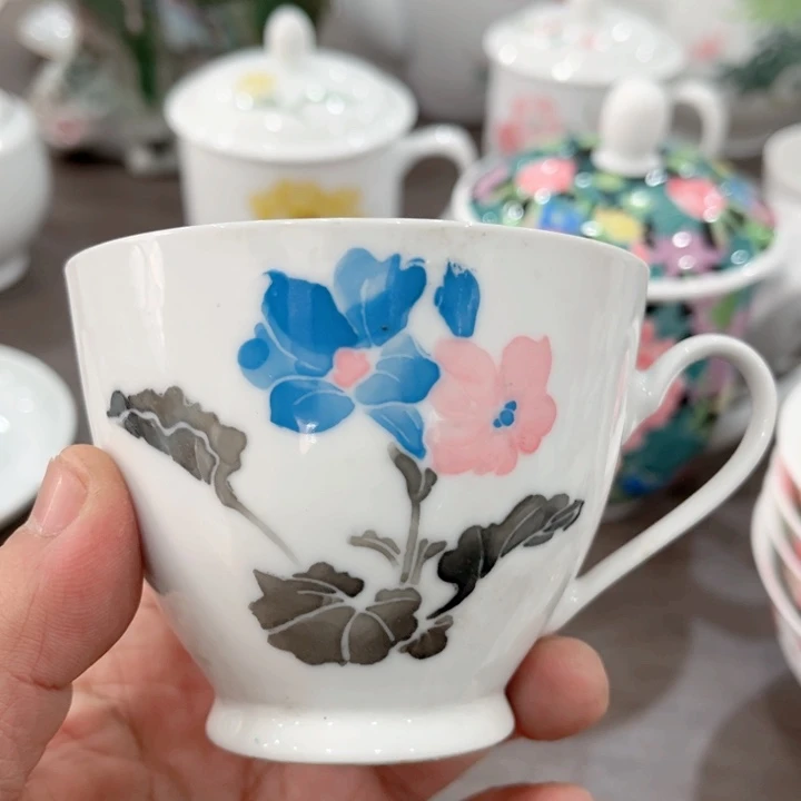 碟釉下五彩的瓷器和瓷器