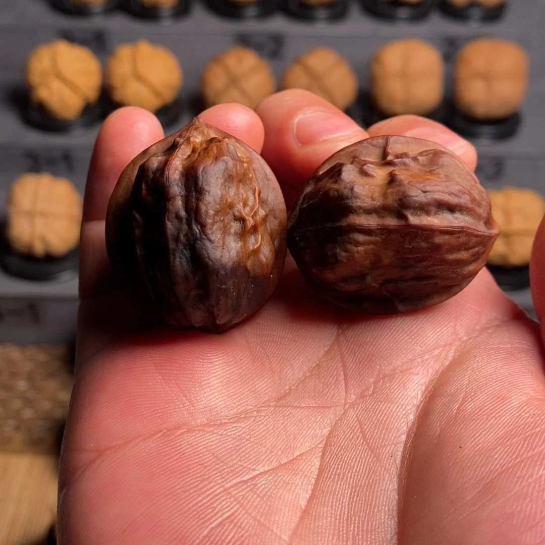 把件文玩核桃31七彩甲壳虫