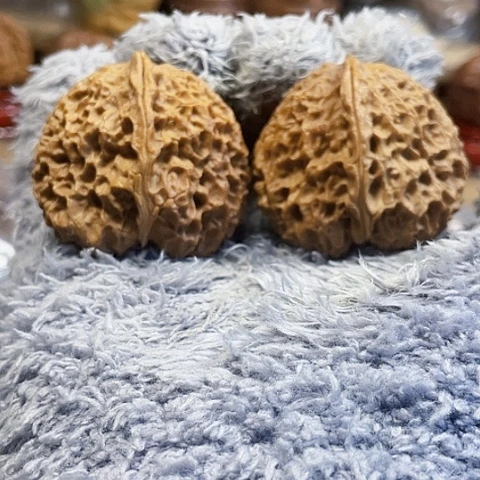 文玩核桃把件铁南疆修尖带彩43