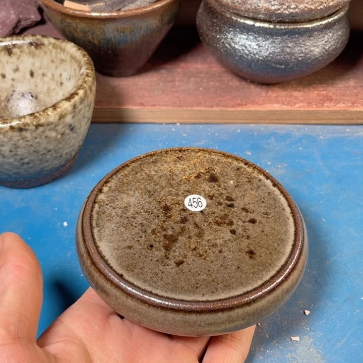 茶宠盏盏灯都是我的爱啊