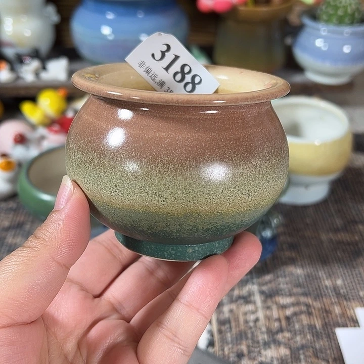 口6 非偏远满30包邮