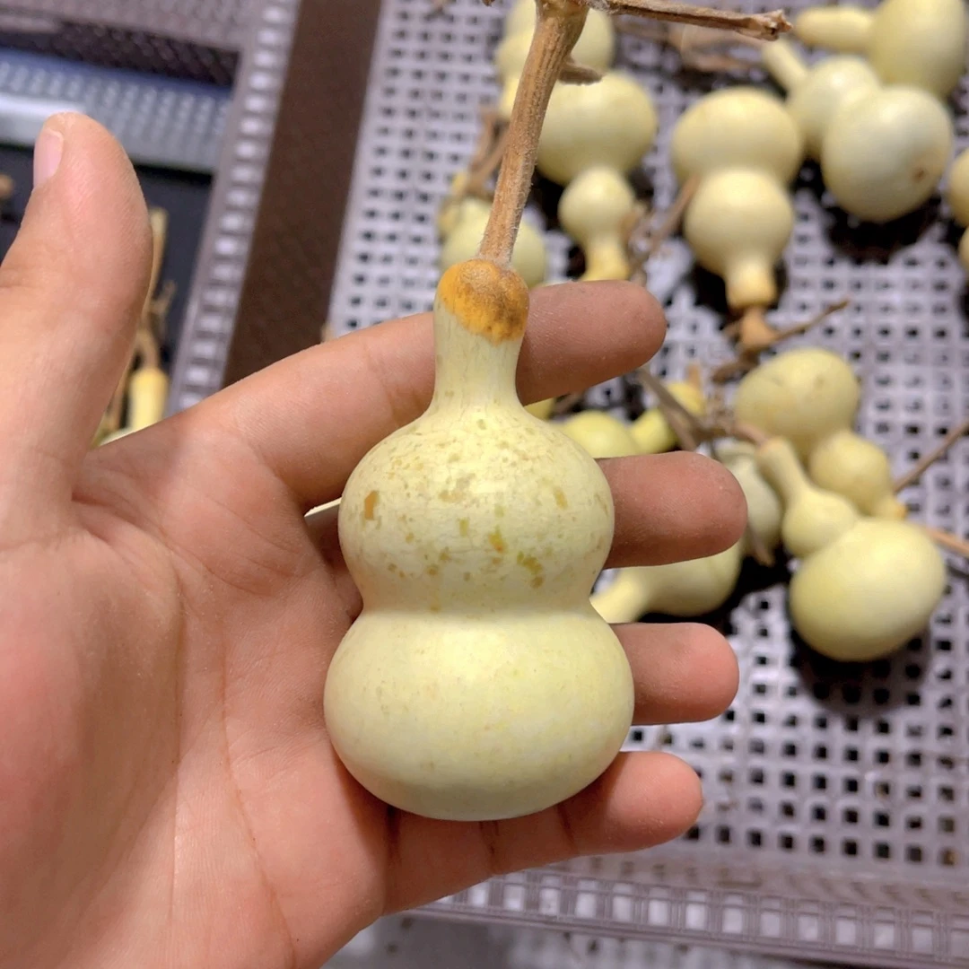 ****咪感谢大哥支持兄弟不保