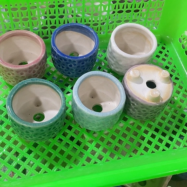 花盆抢购清货马上开始