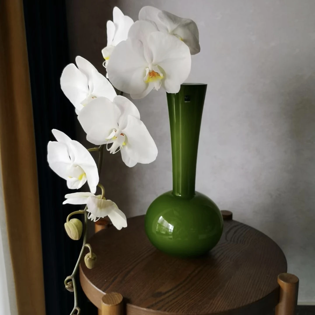 【三兄弟花卉】超A级【蝴蝶兰】