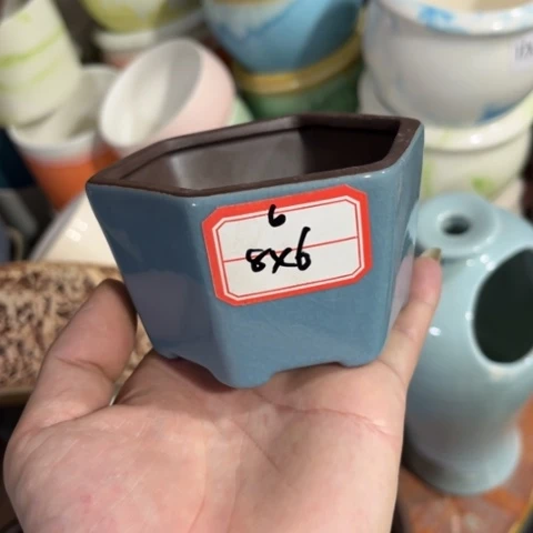 ［本产品默认微瑕品介意慎拍］8×6