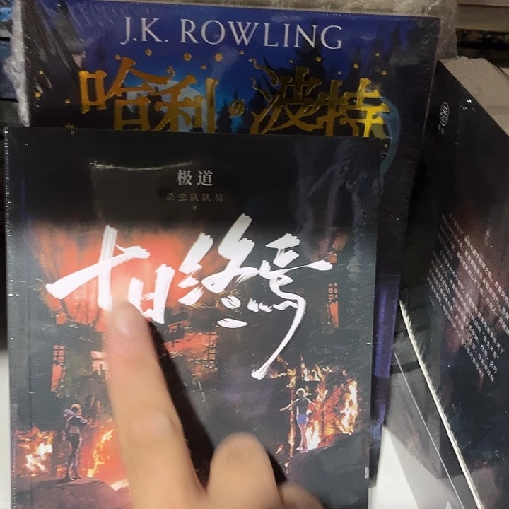 十日终焉极道全新