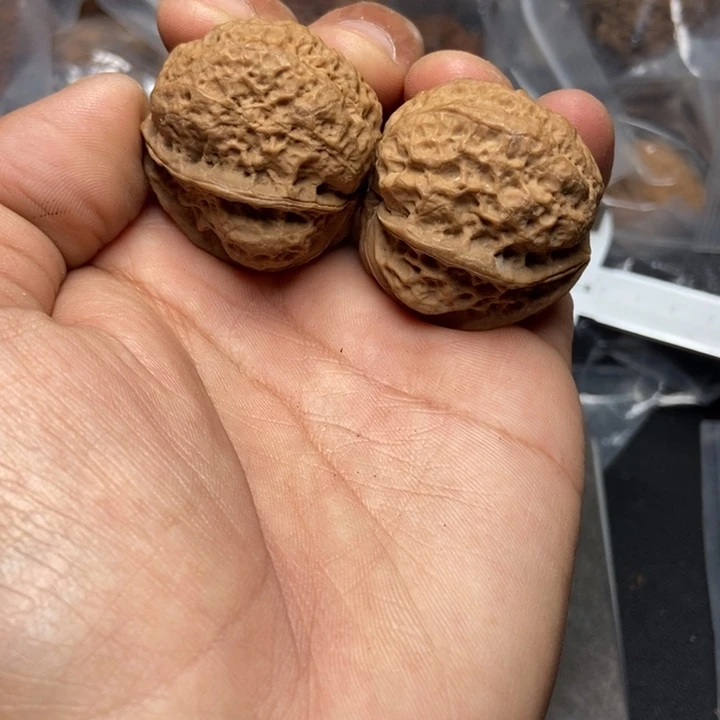 文玩核桃把件    14