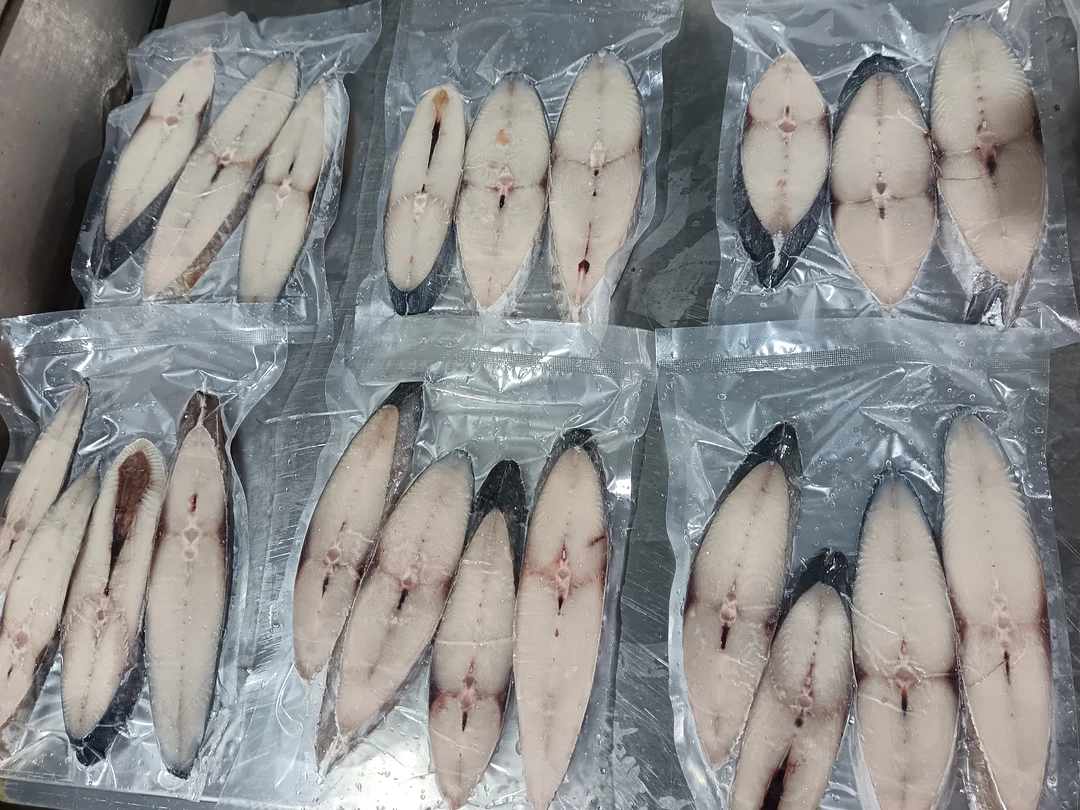 博贺港大马鲛鱼中段切片3斤（3片-4片/斤）去头去尾顺丰包邮新鲜