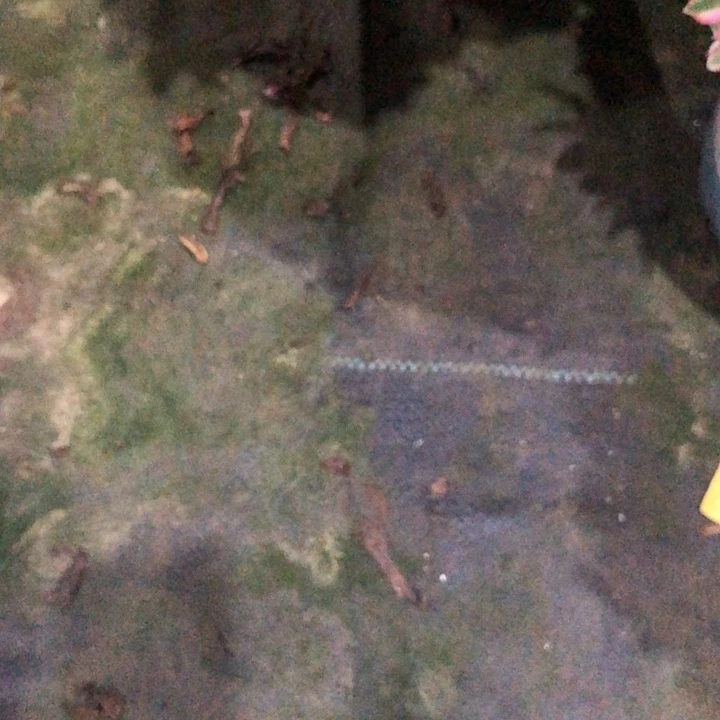 爱****保温棉多肉0000000000