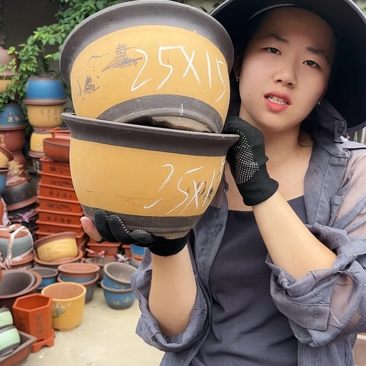 25+25=50黄色花盆花盆花盆花盆花盆