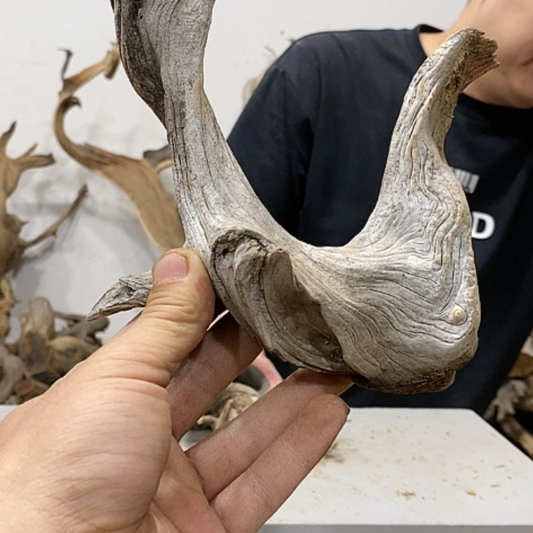 【闪购商品】柏木铭***械我们都是好孩子