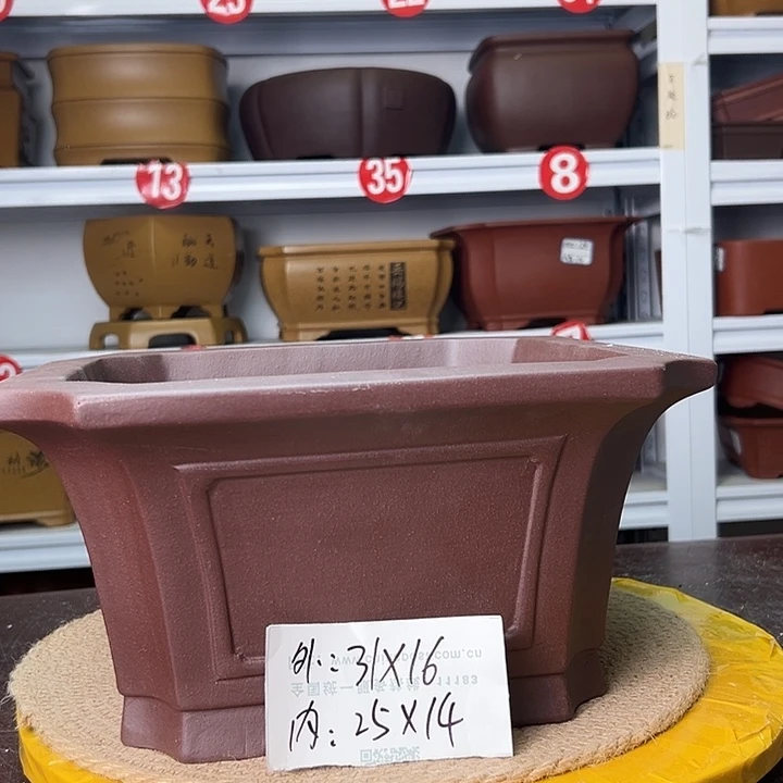 紫砂花盆蛇年大吉