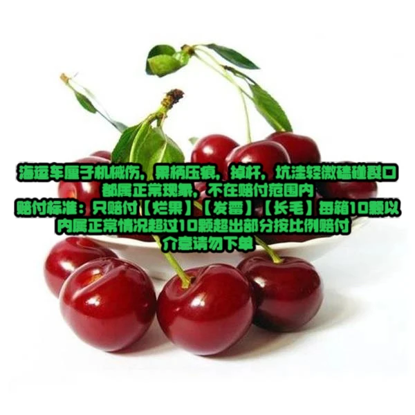 济南同城智利车厘子4JD(32-34mm)净重五斤/箱(内附果径卡)