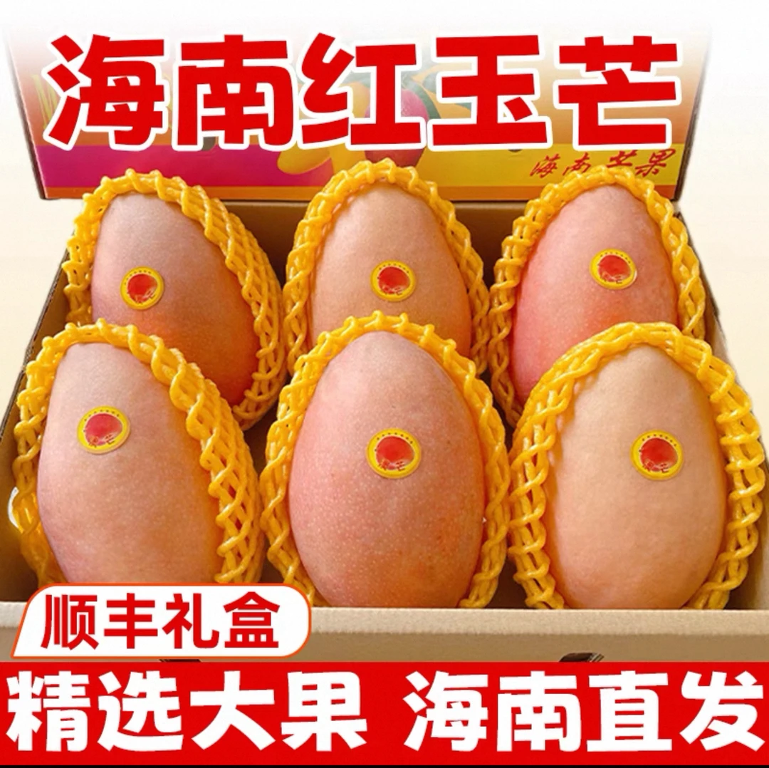 海南树熟红玉芒果