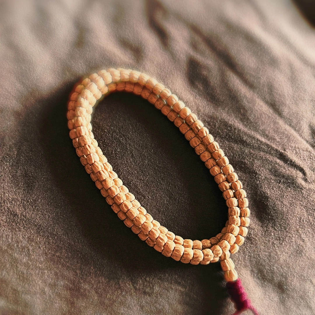 柏香籽白芽顺直方块108