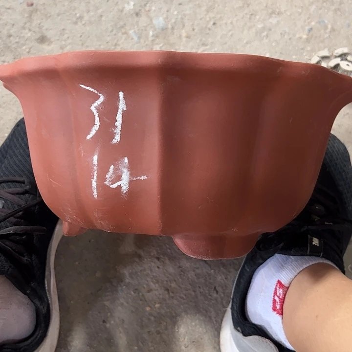 紫砂艺术学院美术