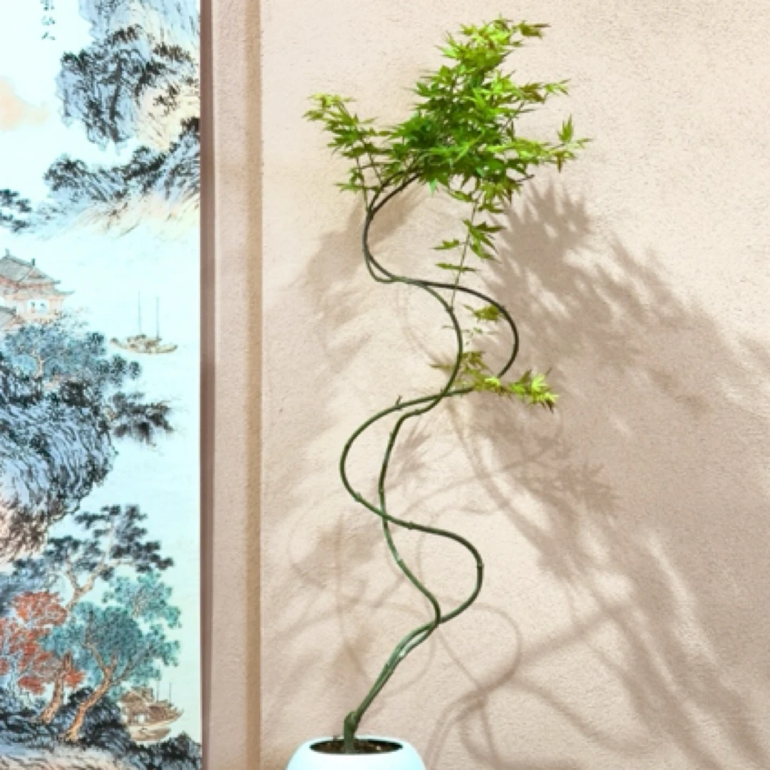 [双高]黄金流泉枫树盆景盆栽适合客厅书房茶室玄关好打理带土和盆