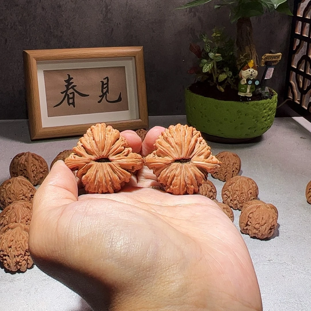 核桃40汉高楼全品无修