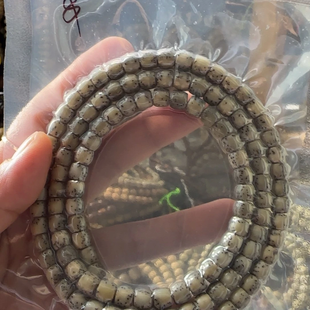 春***梁星月菩提手串7*6直切