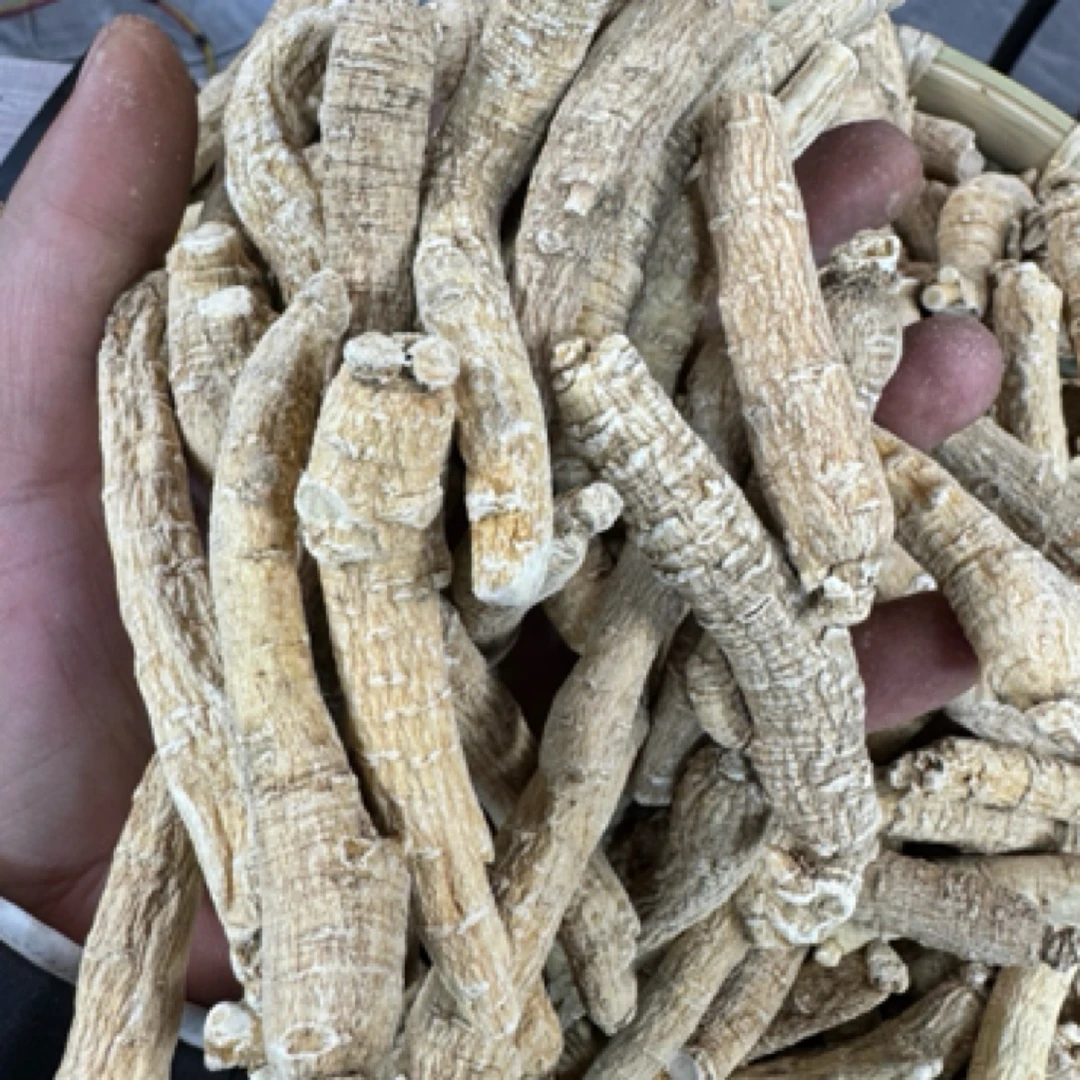 【李支书精选】云南特产西洋参精品推荐