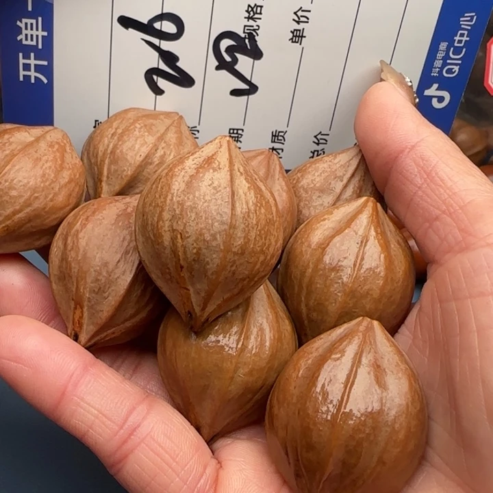 手串橄榄核橄榄核