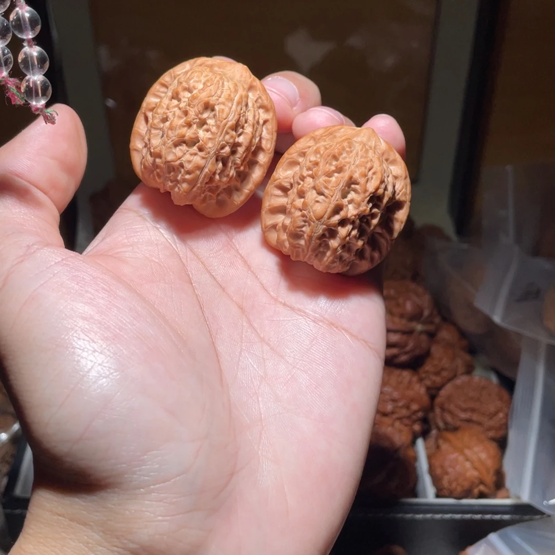 37尺寸原桩血麒麟