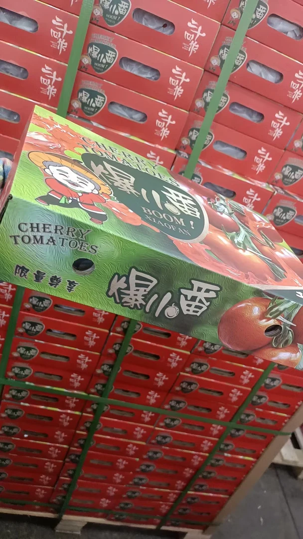爆小番小番茄2斤装